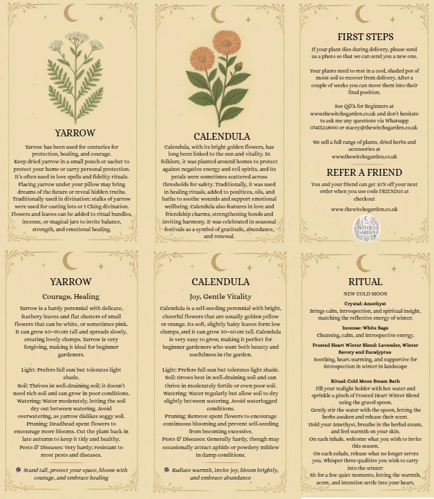 Ritual Cards Example